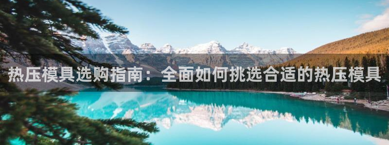 易倍申片