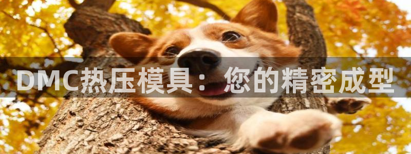 易倍申服用方法