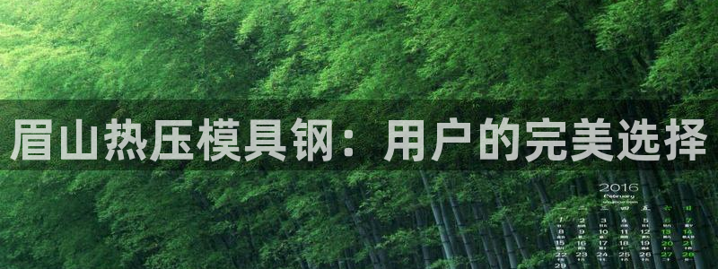emc易倍网页版：眉山热压模具钢：用户的完美选择