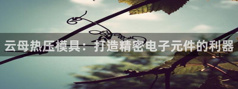 易倍纤减肥价格