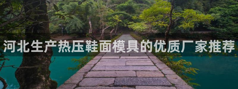 Emc易赔体育：河北生产热压鞋面模具的优质厂家推荐