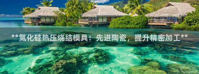 emc易倍穆里尼奥：**氮化硅热压烧结模具：先进陶瓷，提