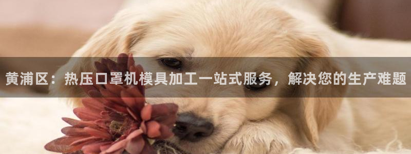 易倍全站下载
