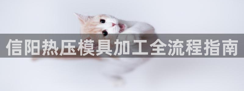 易倍申多少钱