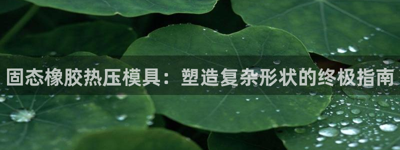 易倍下载手机版
