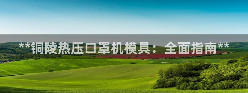 易倍单词app下载：**铜陵热压口罩机模具：全面指南**