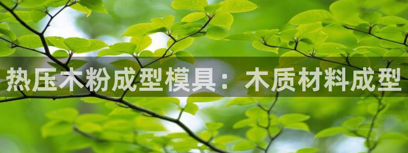 emc易倍全站官网：热压木粉成型模具：木质材料成型