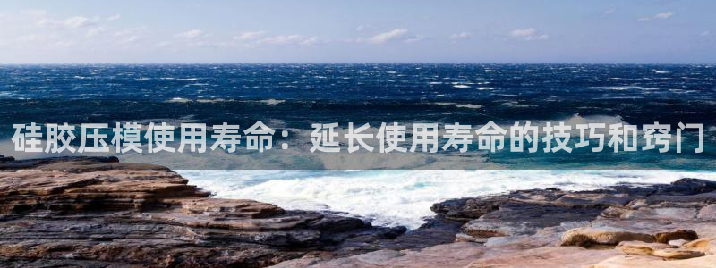 易倍纤价格：硅胶压模使用寿命：延长使用寿命的技巧和窍门