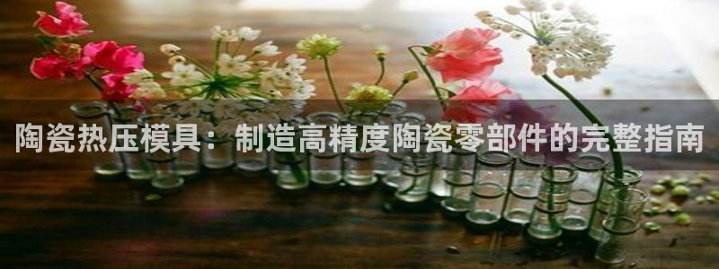emc倍频只能是奇数倍吗：陶瓷热压模具：制造高精度陶瓷零