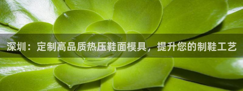 易倍emc网址网页版本登陆：深圳：定制高品质热压鞋面模具