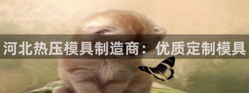 emc服务器是干啥的：河北热压模具制造商：优质定制模具