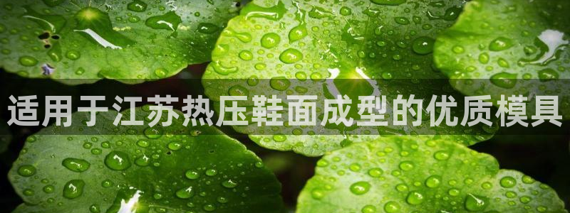 易倍申的价格：适用于江苏热压鞋面成型的优质模具