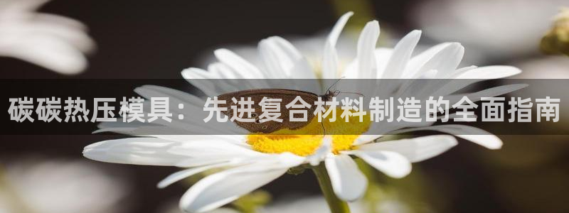 易倍网络技术有限公司官网：碳碳热压模具：先进复合材料制造