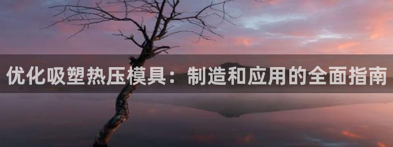 易倍下载：优化吸塑热压模具：制造和应用的全面指南