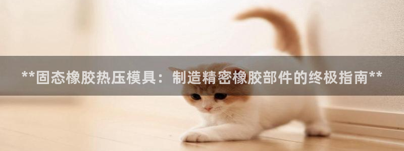 emcbet全站：**固态橡胶热压模具：制造精密橡胶部件