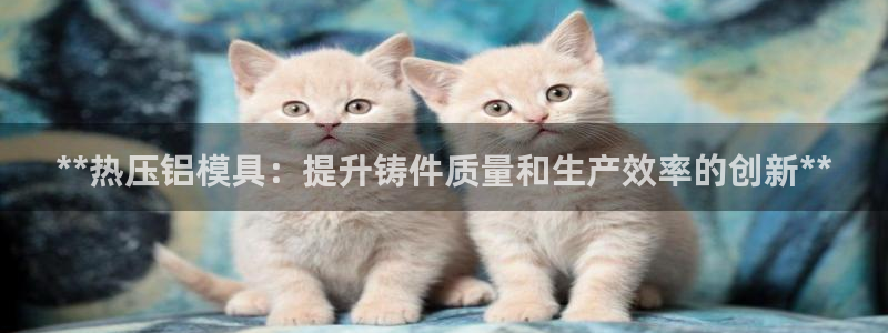 易倍康简历：**热压铝模具：提升铸件质量和生产效率的创新