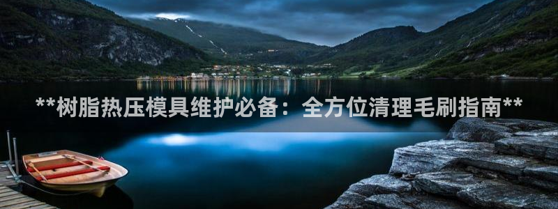 易倍申在中国成功上市：**树脂热压模具维护必备：全方位清