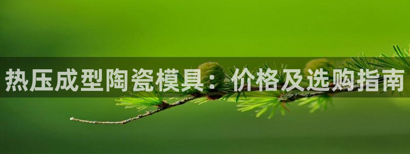 emc低频：热压成型陶瓷模具：价格及选购指南