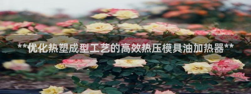易倍申片：**优化热塑成型工艺的高效热压模具油加热器**