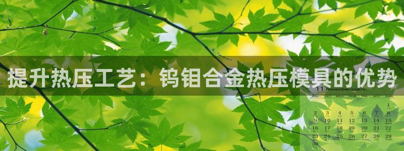 易倍电竞