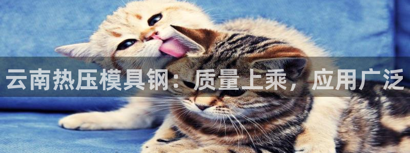 易倍app网站：云南热压模具钢：质量上乘，应用广泛