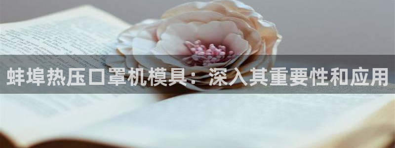 易倍申片说明书