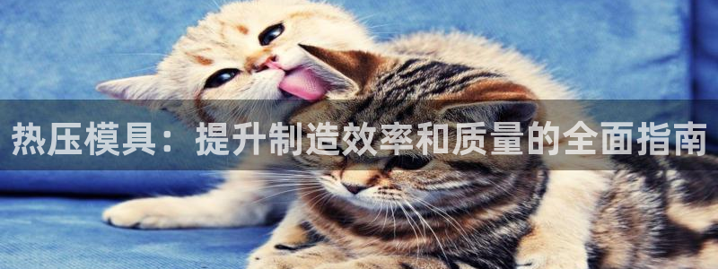 易倍企业管理软件怎么样