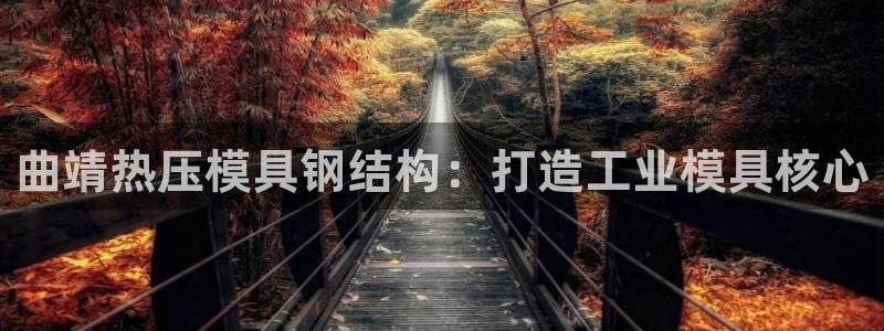 易倍思怎么样：曲靖热压模具钢结构：打造工业模具核心