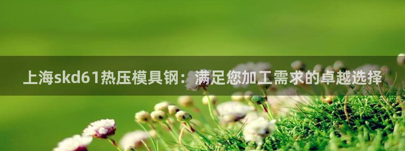 杭州易倍达上班怎么样