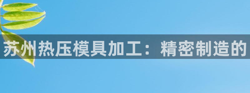 emc易倍官网登录入口：苏州热压模具加工：精密制造的