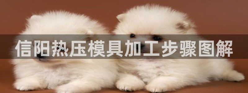 易倍申医保报销