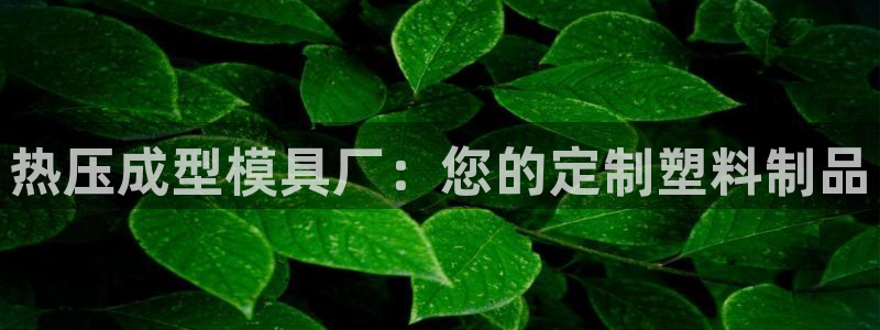 易倍达科技有限公司招聘：热压成型模具厂：您的定制塑料制品