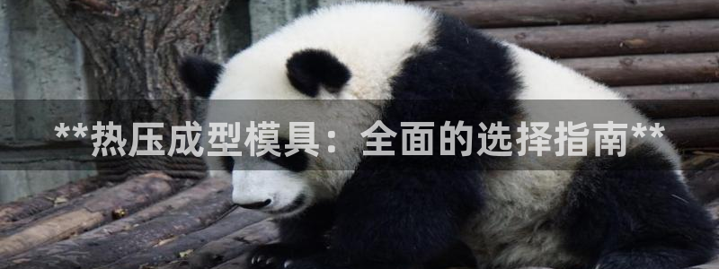 emc易倍app官网下载：**热压成型模具：全面的选择指