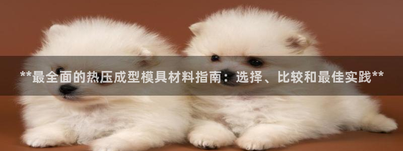 易倍纤怎么使用：**最全面的热压成型模具材料指南：选择、