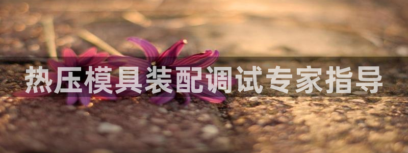 易倍申效果怎么样