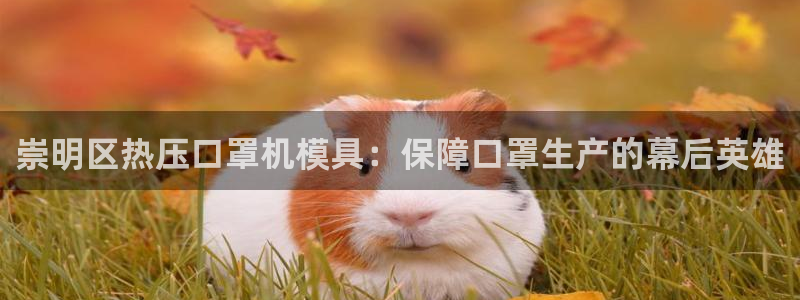 易倍申服用方法