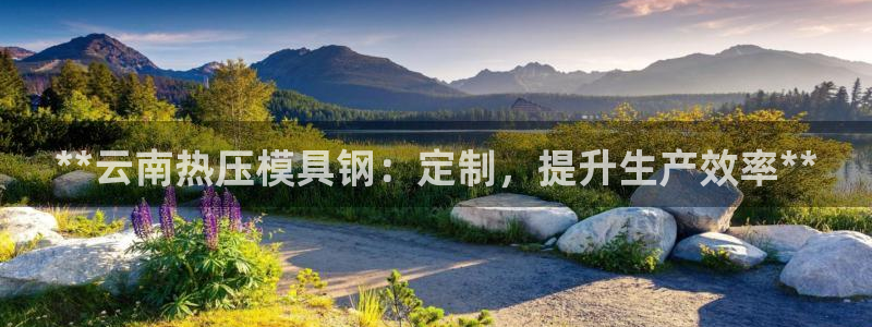 易倍纤代餐奶昔怎么样：**云南热压模具钢：定制，提升生产