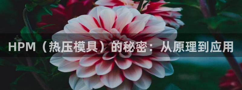易倍EMC网址