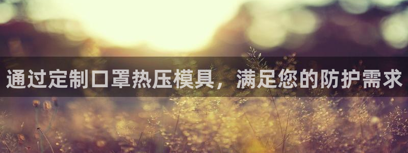 emc易倍官网app官网：通过定制口罩热压模具，满足您的