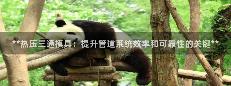 易倍纤能减肥吗：**热压三通模具：提升管道系统效率和可靠