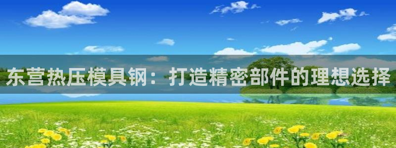易倍网络技术有限公司