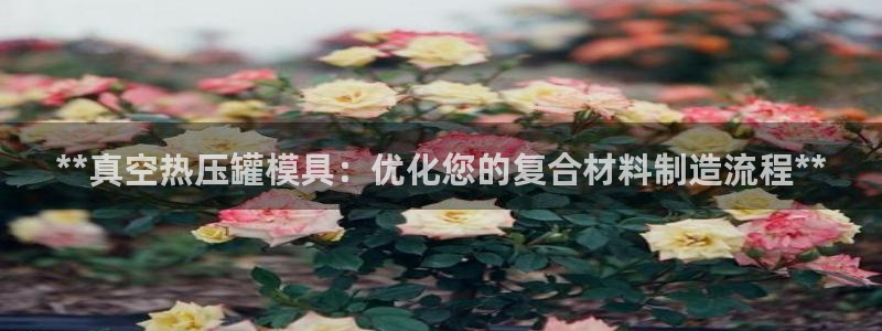 易倍下载地址：**真空热压罐模具：优化您的复合材料制造流