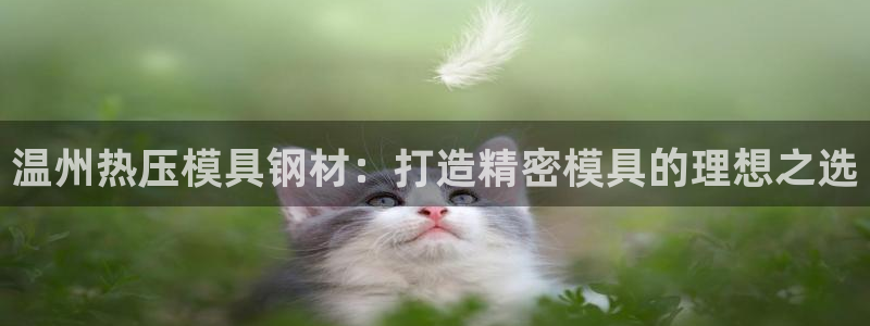 易倍单词app官网：温州热压模具钢材：打造精密模具的理想