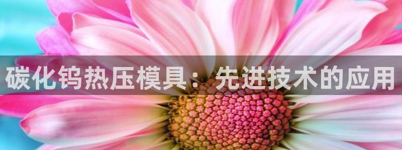 emc服务器是什么
