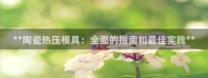 易倍申和易倍清的区别：**陶瓷热压模具：全面的指南和最佳