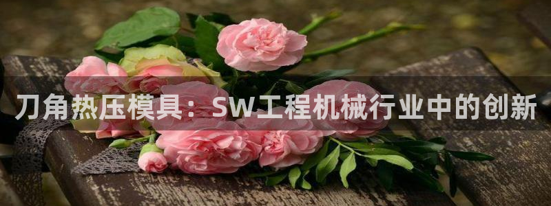 易倍单词官网下载