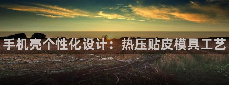 易倍申怎么样