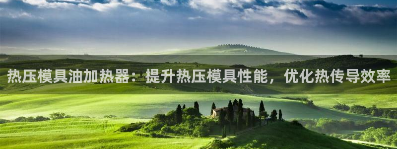 易倍企业管理软件：热压模具油加热器：提升热压模具性能，优