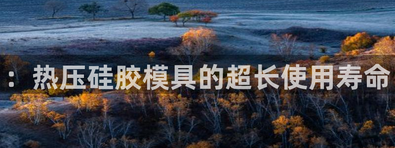 杭州易倍达