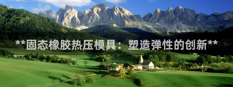易倍电竞：**固态橡胶热压模具：塑造弹性的创新**